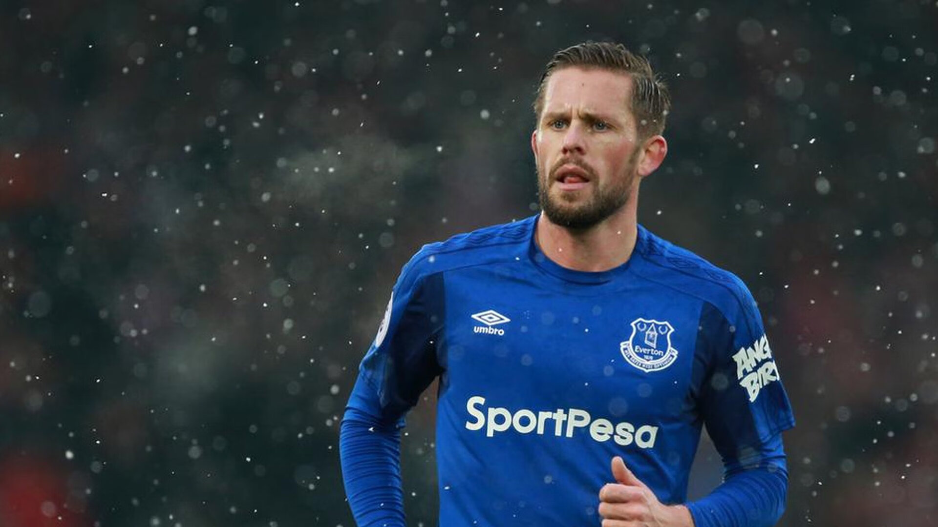 全球体育版权争夺加剧,平台竞争白热化,在全球体育app上发推荐